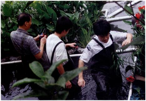 创新实验班学生在河道污水中搭建浮床,研究水质净化方法