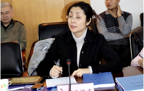 国家发改委高技术司王娜处长