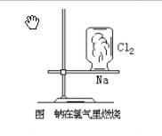 实验名称:钠与氯气反应生成氯化钠